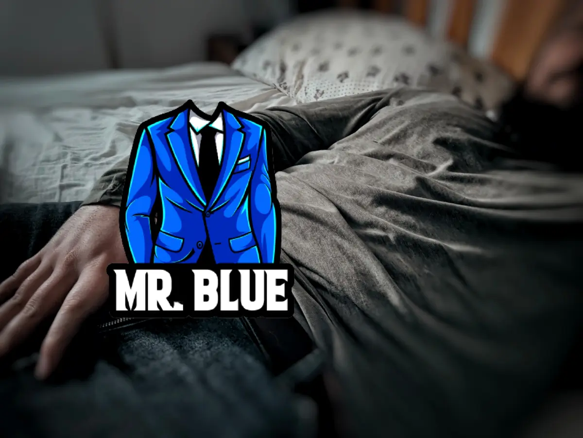 Mr. Blue cover