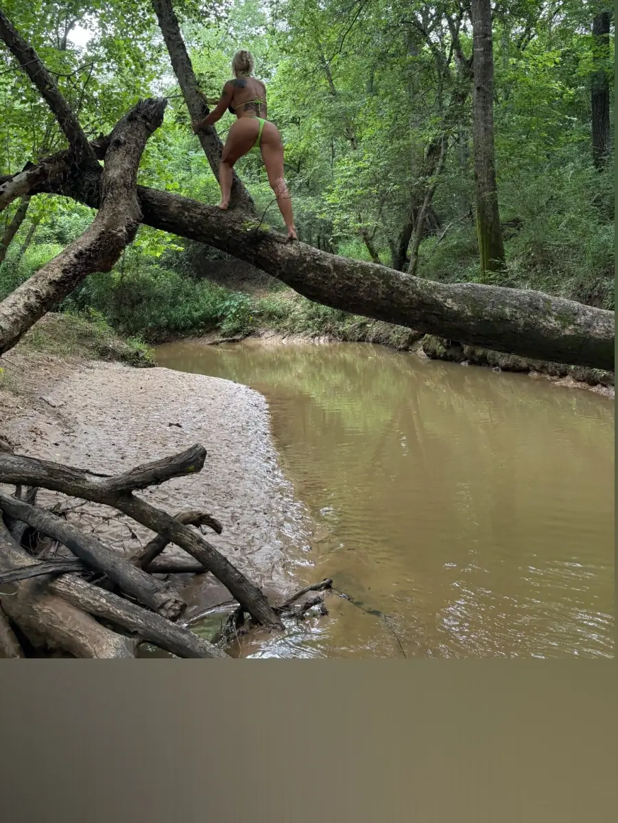 SwampBarbeeSFW cover