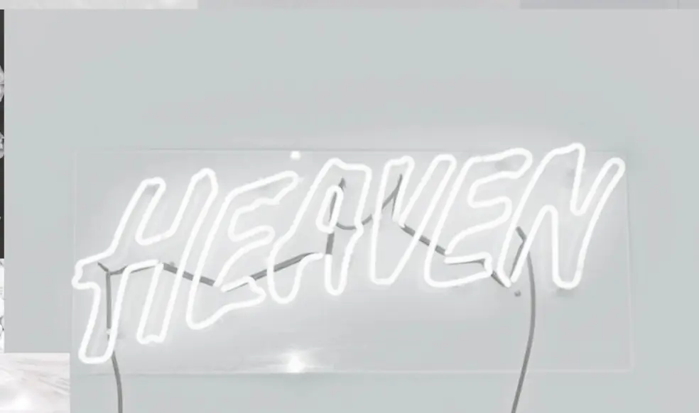 FREE VIDS ON WALL 🤯 cover