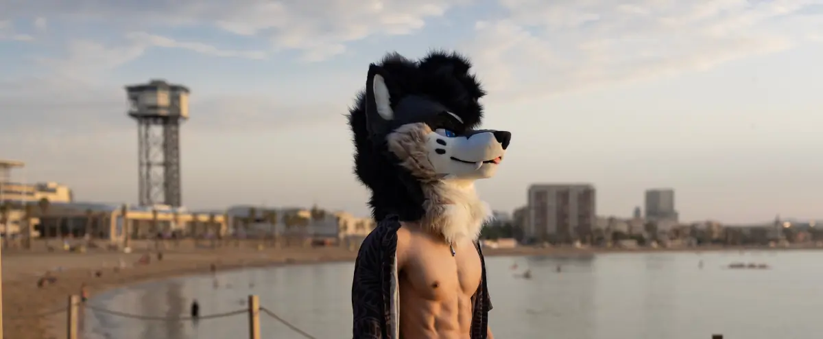 PalaceWolf cover