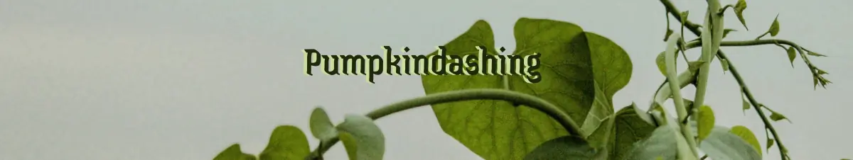 Pumpkindashing 🎃 header