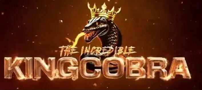 King Cobra cover