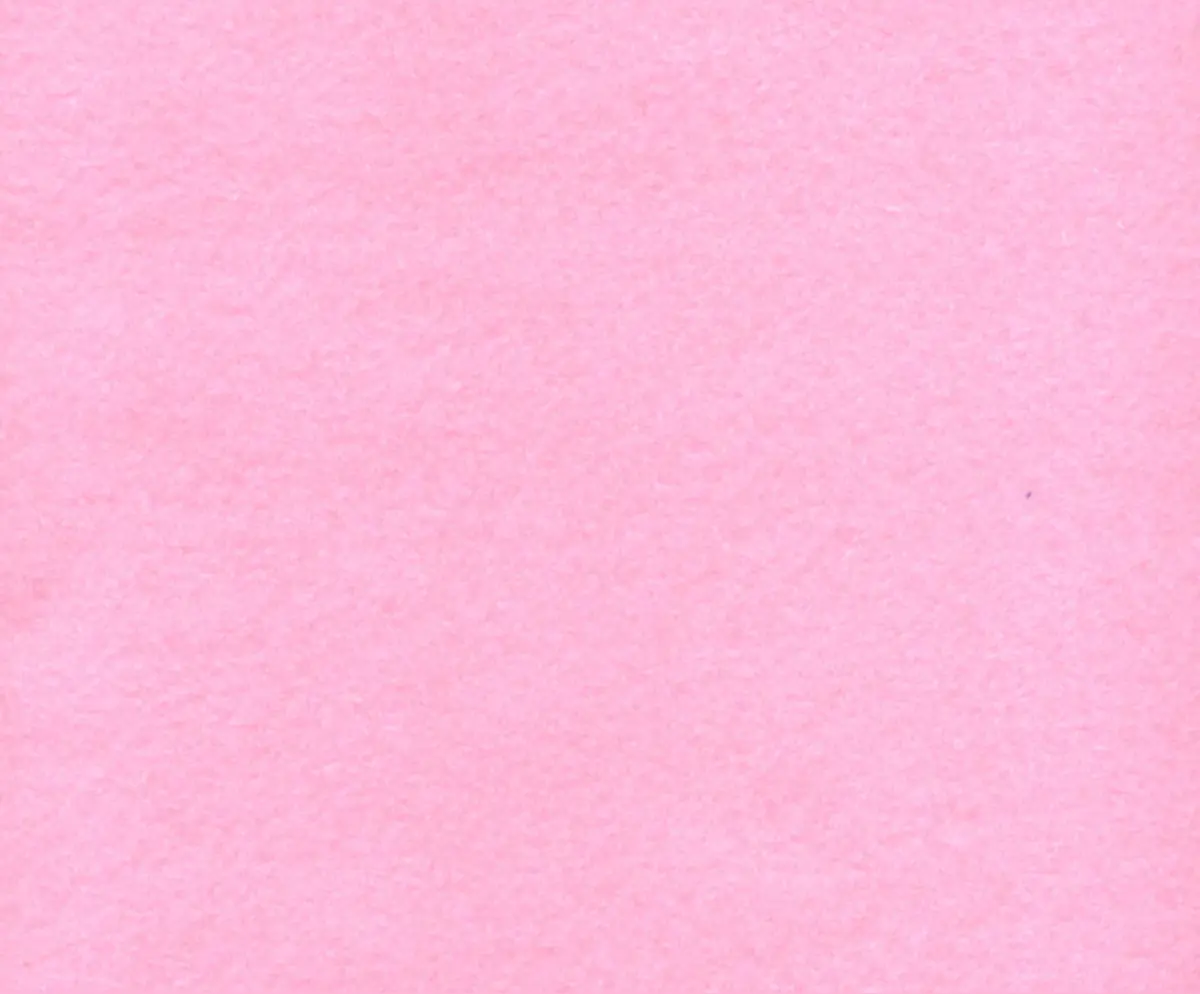 Riley ✨ Free header
