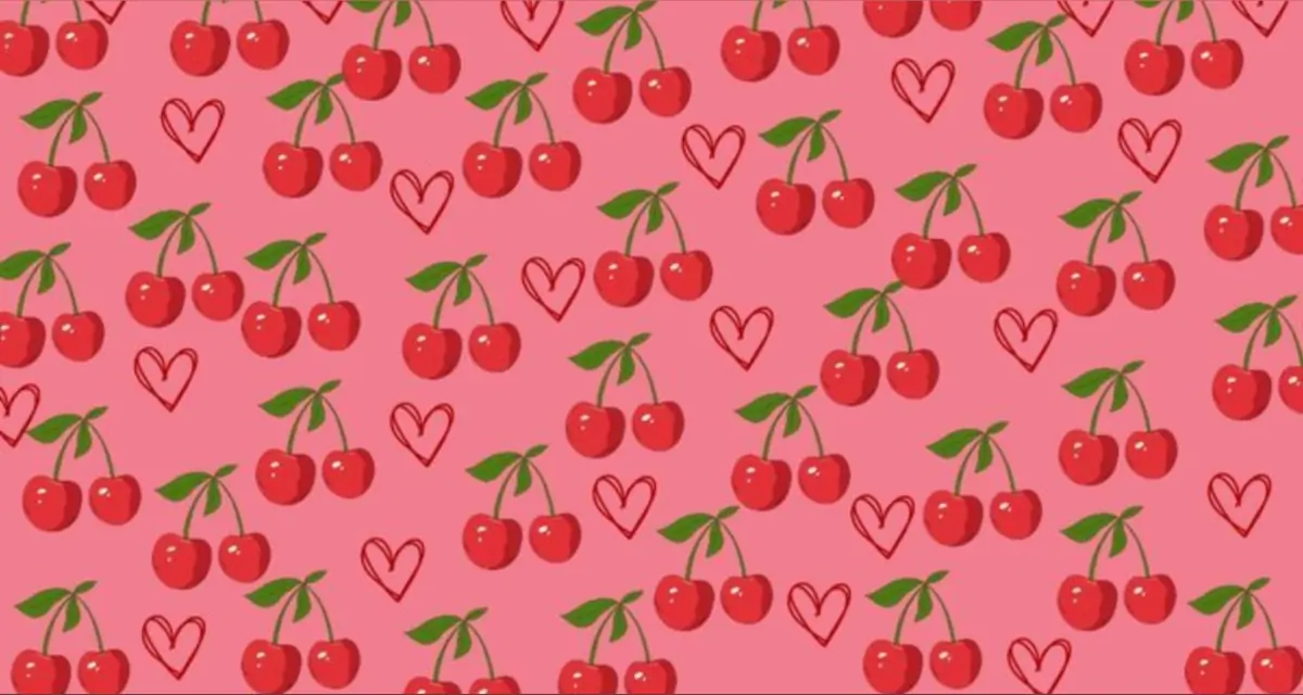 Sal header
