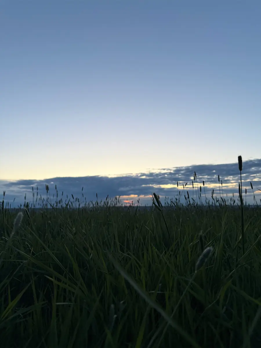 SecretLisa header