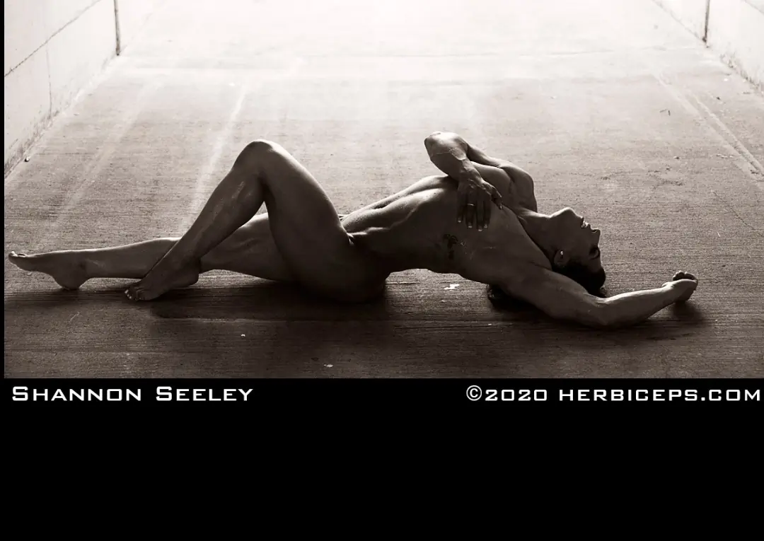 Shannon Seeley cover