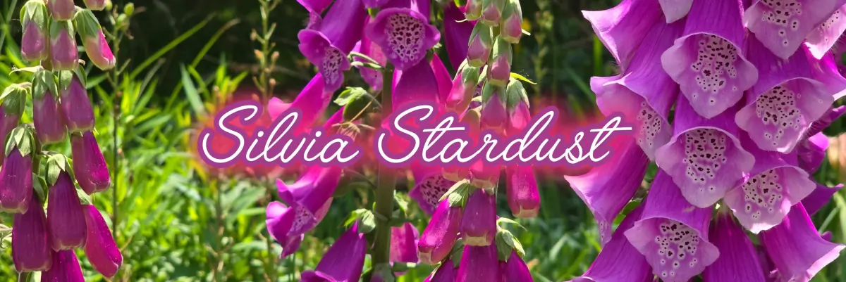 Silvia Stardust header