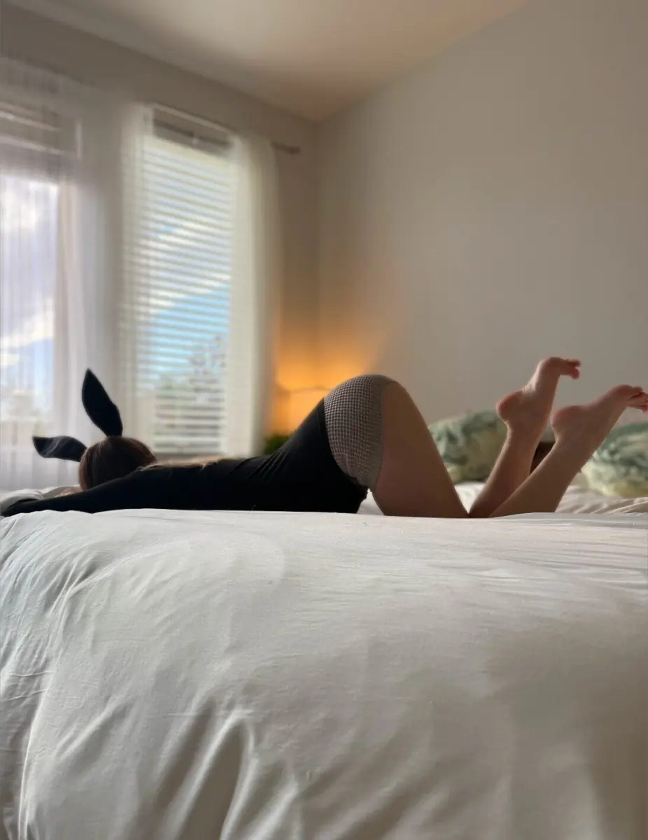 𝖆𝖗𝖎𝖆 🐾 header