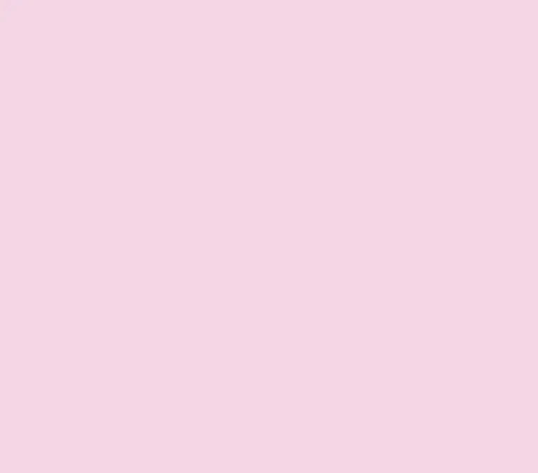 🐱✨ header