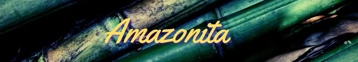 Amazonita 💯🍑Only cover