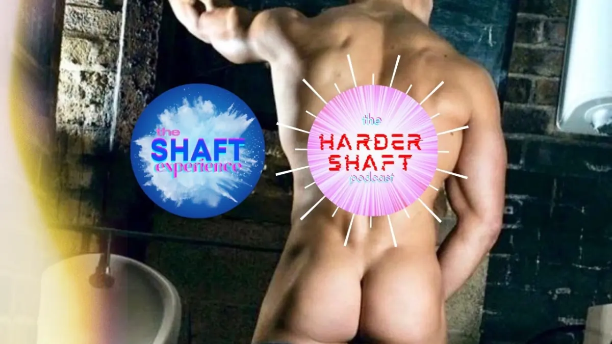 THE SHAFT EXPERIENCE cover