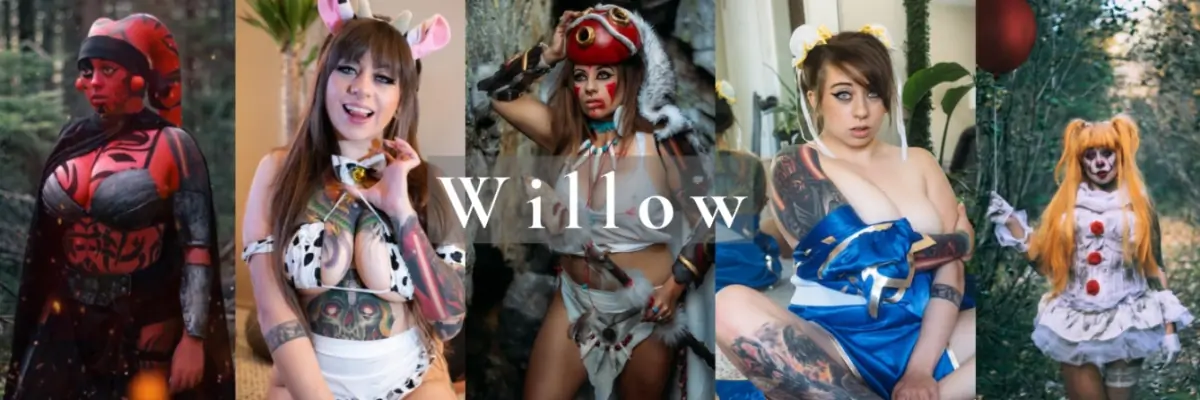 Willow header