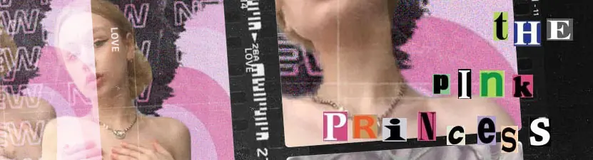 ♡ the pink princess ♡ cover