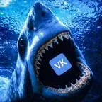 Tiburonvk🦈 avatar