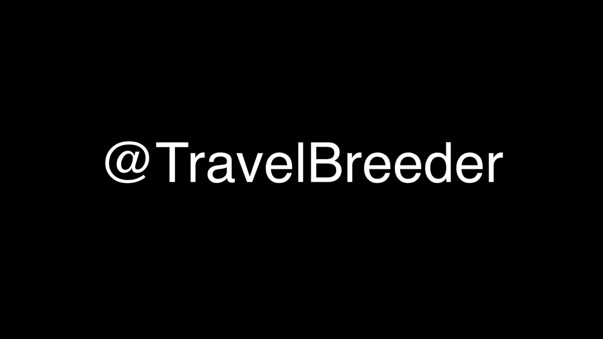 Travel Breeder cover