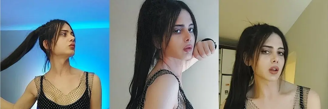 TsDemet header