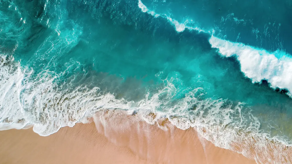 uchi header