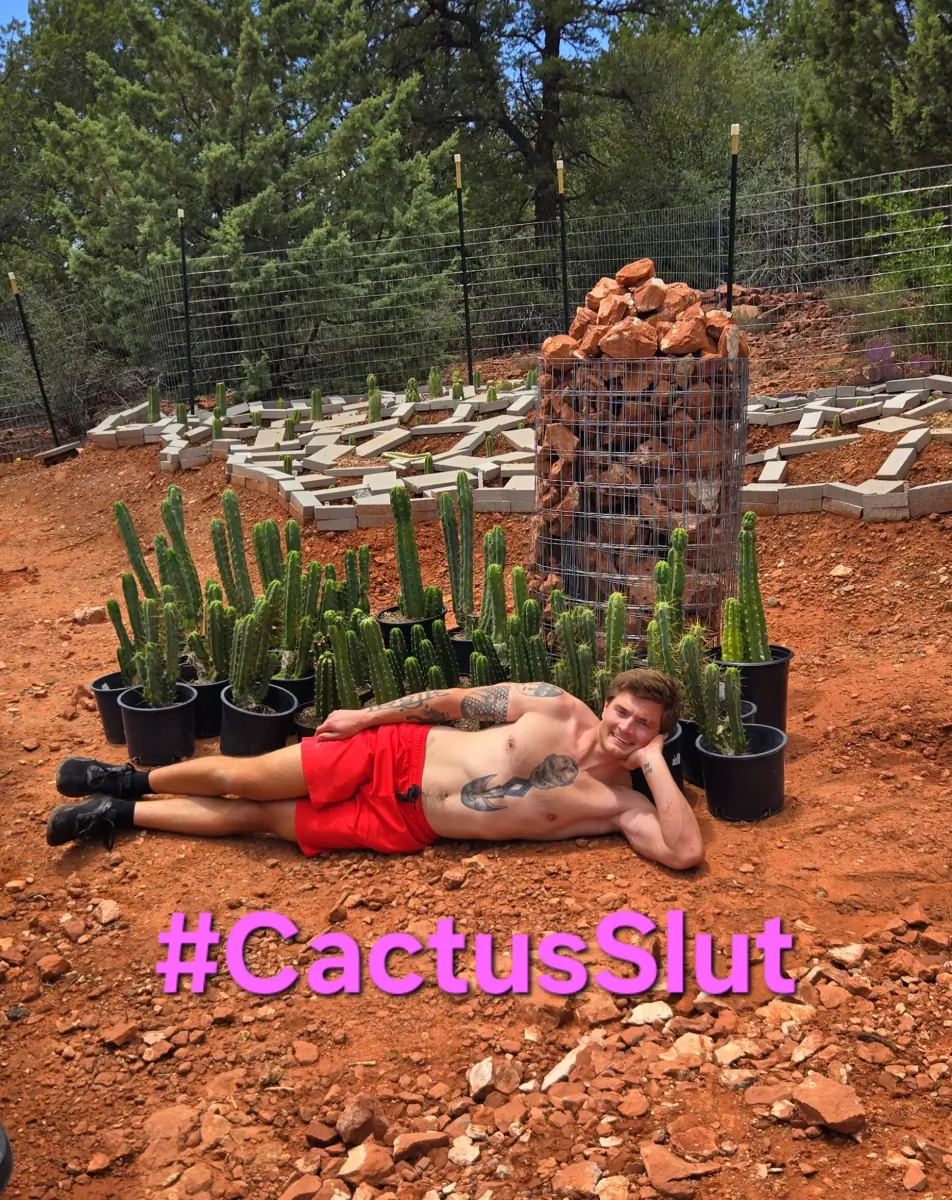 VeganHimbo header