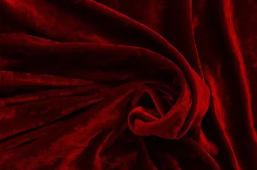 Vera Velvet cover