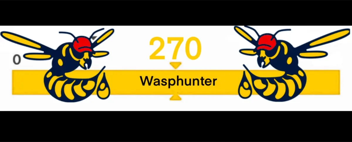 Wasphunter 🐝🥍 cover