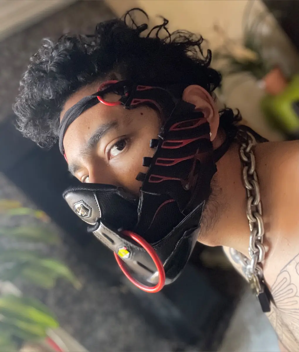 Wasphunter 🐝🥍 cover