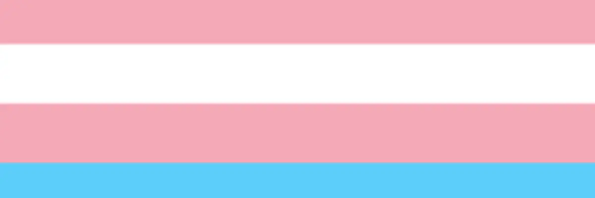 XheiditvX header