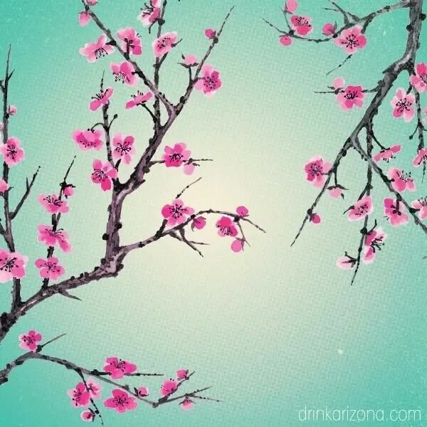 xoxix header