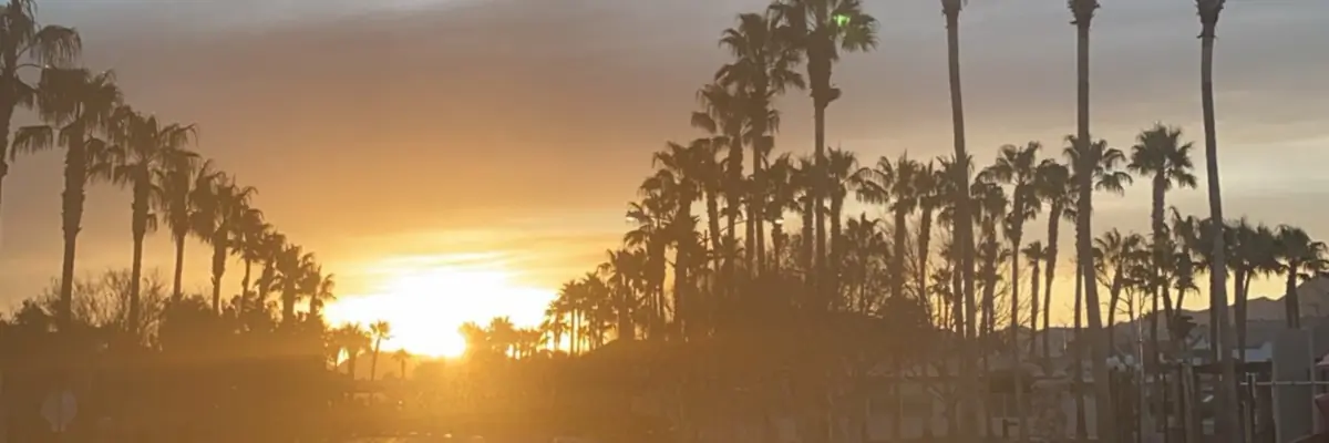 Zane Walker header