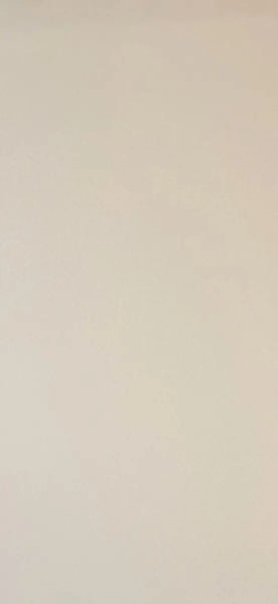 Zara Love Free header