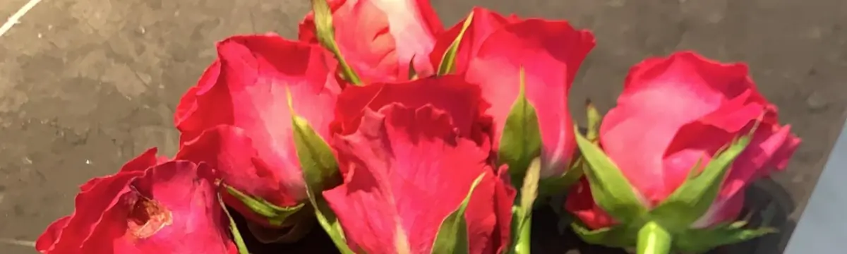  Reddit banner