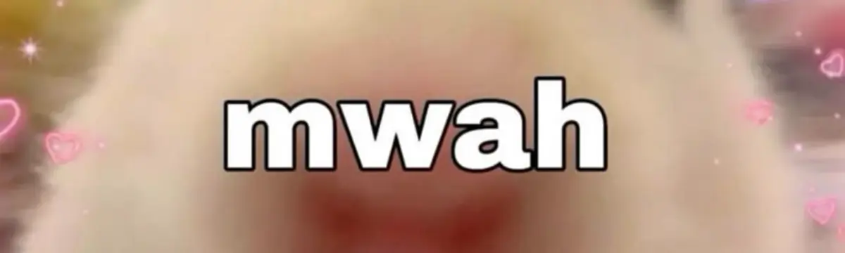 Donkey Pawg Reddit banner