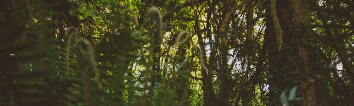 Jenna  Reddit banner