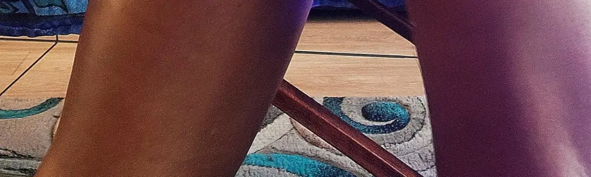 Shley Reddit banner