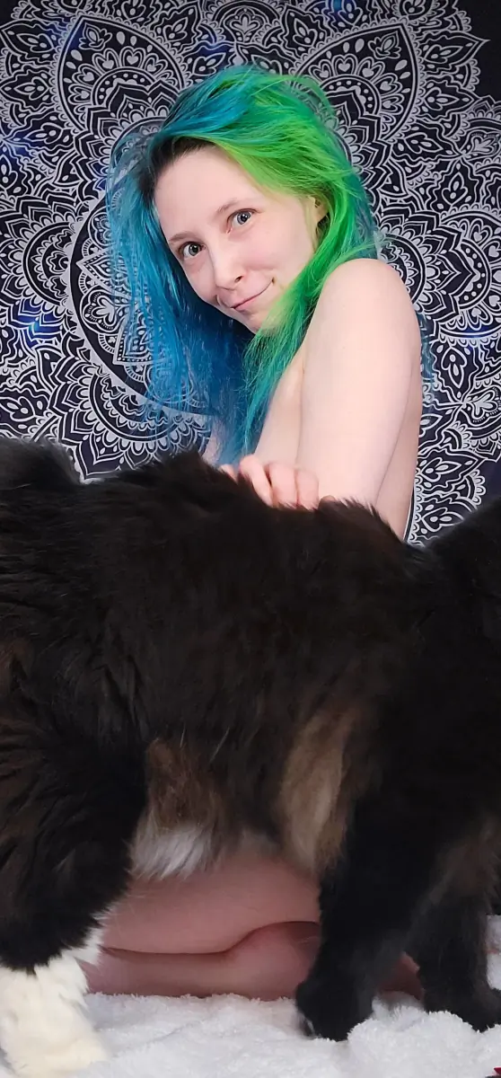 You're here for the cat, right?!