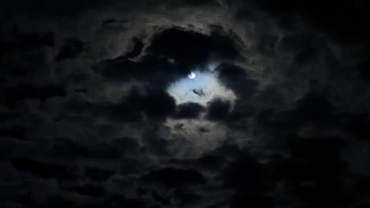 Cloudy nights