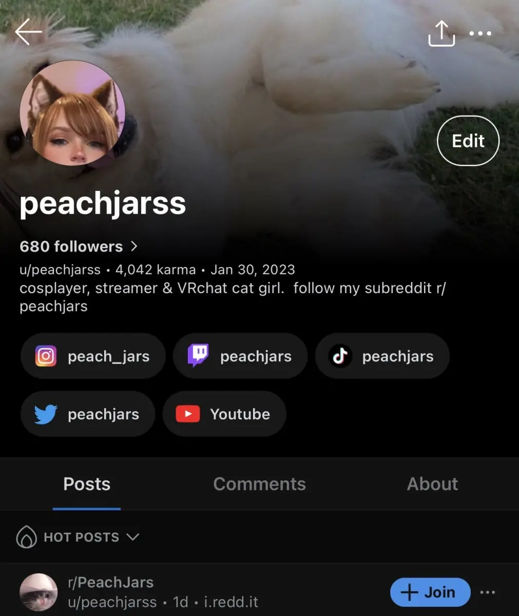 Proof that I am PeachJars! Hello!