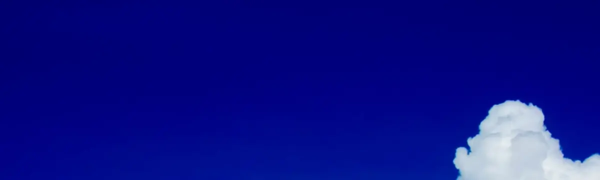 Squishy Vicky ⭐ Reddit banner