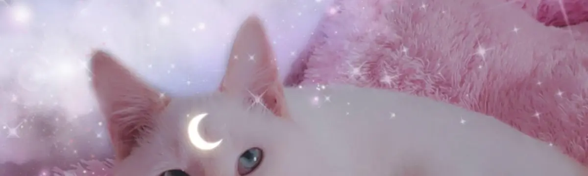 𝑽𝒊𝒙𝒆𝒏 𝑽𝒊𝒓𝒂𝒈𝒐 Reddit banner